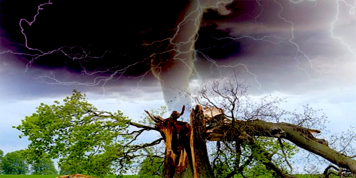 Tornado and lightning striking tree