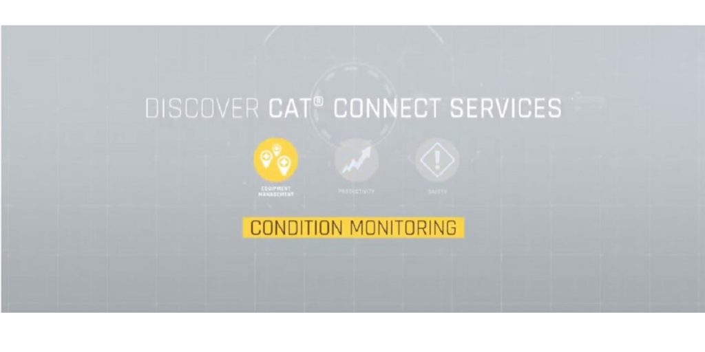 Cat Connect Conditioning