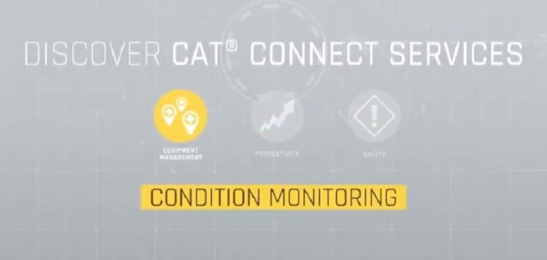 Cat Connect Conditioning